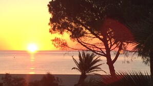 A sunset over a body of water with trees and a road in the foreground. - Exceptional sea view, seafront, Argeles Plage, Climatisation, Large apartment (Argelès-Sur-Mer)