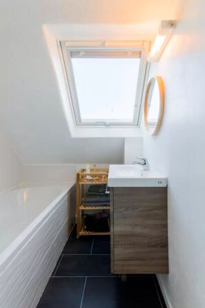 Combined shower/bathtub, hair dryer, toilet paper