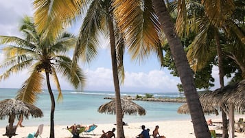 Plage, chaises longues