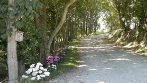 A gravel path flanked by trees and flowering plants.
