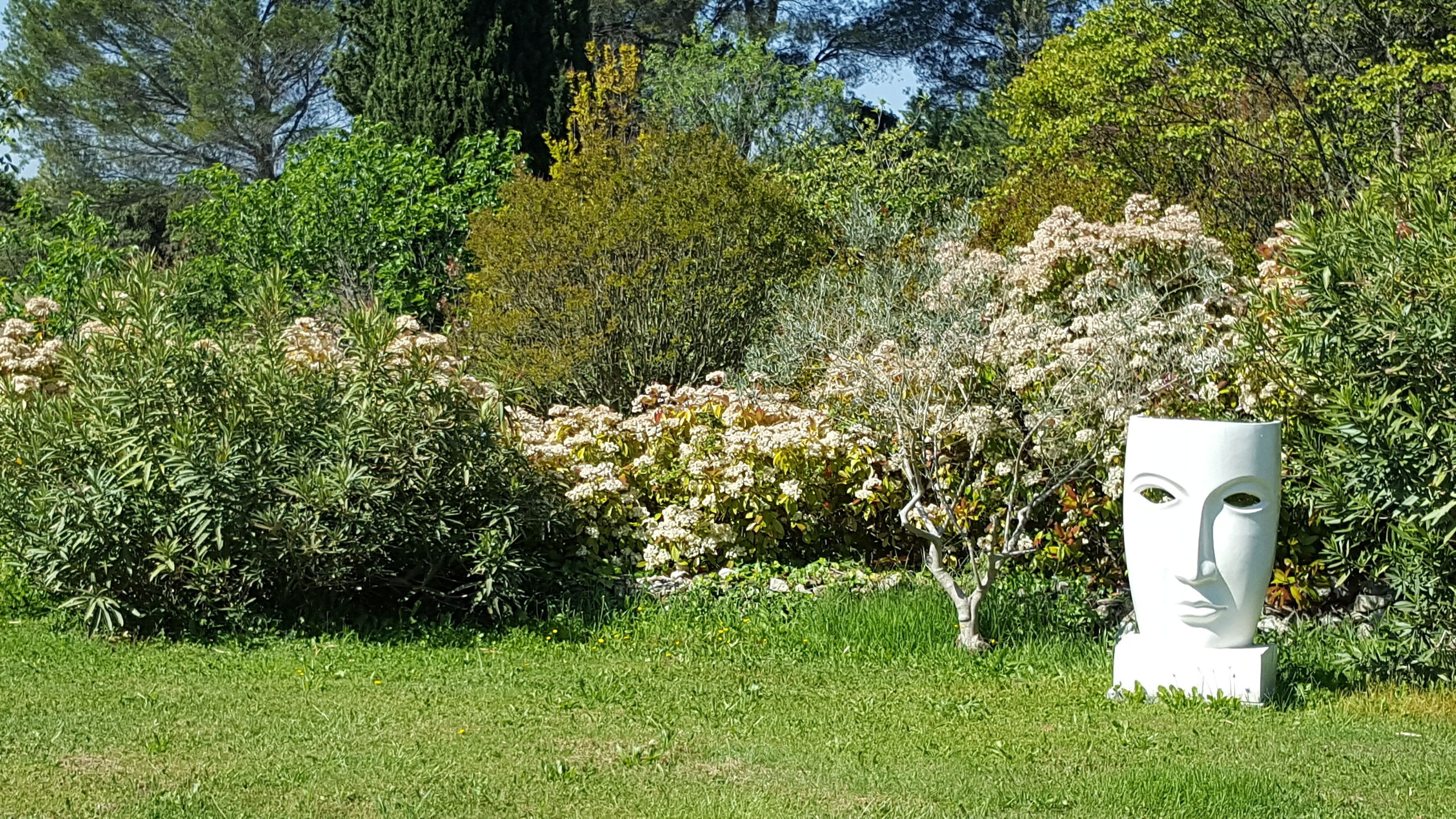 A garden with various plants and a white sculpture.