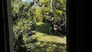A view through a window of a garden with a grassy path and trees.