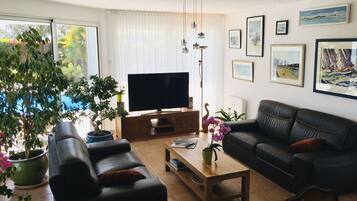 Télévision, livres, chaîne hi-fi