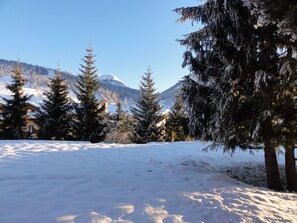 Property grounds - Charming chalet with view (Montgenèvre)