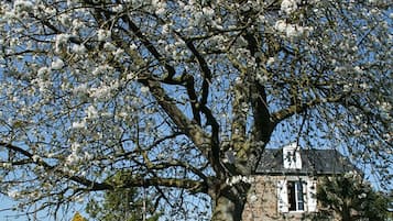 Ulkoalueet