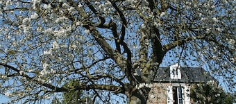 La Maison des Grèves, charming cottage