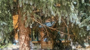 A hammock between two trees in a landscaped area with a log cabin in the background.