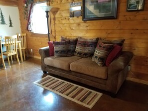 TV, DVD player, books, video library - Alaska Aurora Adventures Aurora Cabin A<br>World class Northern lights viewing (North Pole)