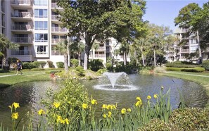 Property grounds - OCEANFRONT!  Partial Ocean VIEW! Guaranteed CLEAN!! Villamare - Palmetto Dunes (Hilton Head)