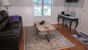 Smart TV, fireplace, DVD player, books