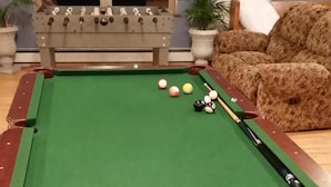 A pool table with balls and cues, a sofa, a potted plant, and a mirror in the background.