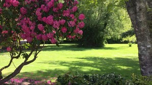 Un jardín con un gran árbol cubierto de flores rosadas, césped cuidado y un seto.