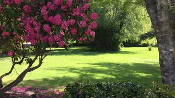 Terrain de l’hébergement