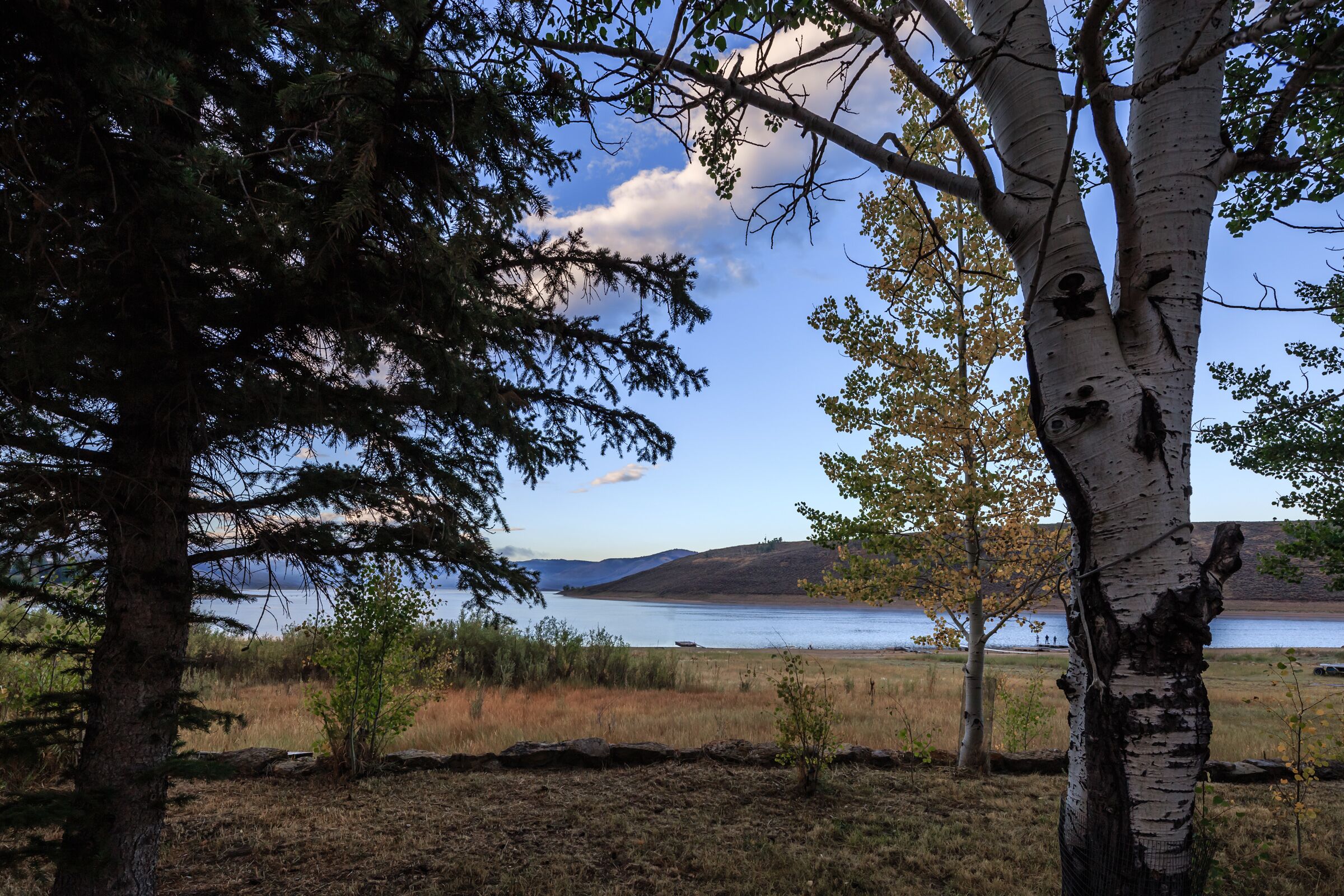 A natural landscape with trees, a lake, and distant hills.