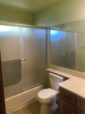 A bathroom with a glass shower enclosure, a toilet, and a vanity with a mirror.