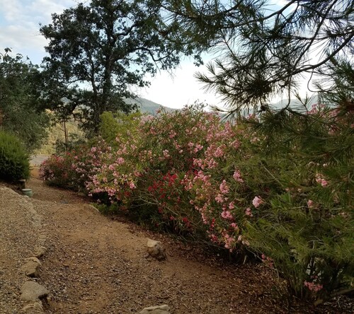 DOG FRIENDLY STUDIO APARTMENT WITH GREAT VIEWS  - 2 MILES TO PARK.