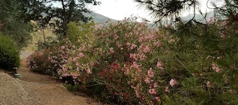 DOG FRIENDLY STUDIO APARTMENT WITH GREAT VIEWS - 2 MILES TO PARK.