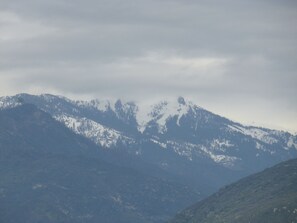 Immagine non classificata, 4 di 15, pulsante