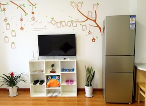 LED TV