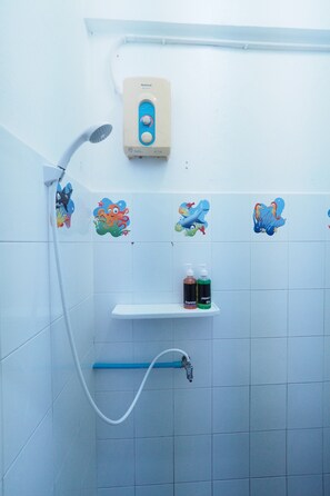 Douche de la salle de bain