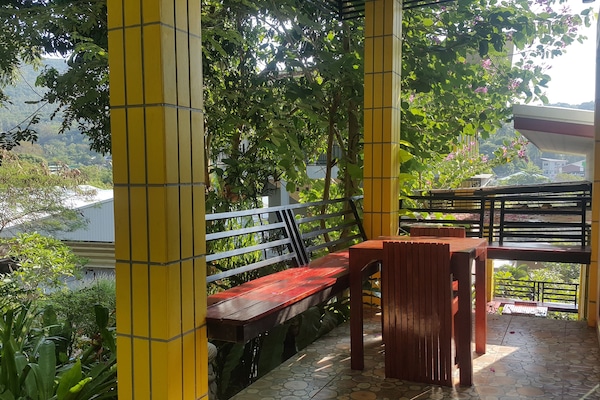 Vista del balcón