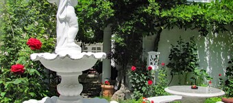 Apartment Storchenfärbe