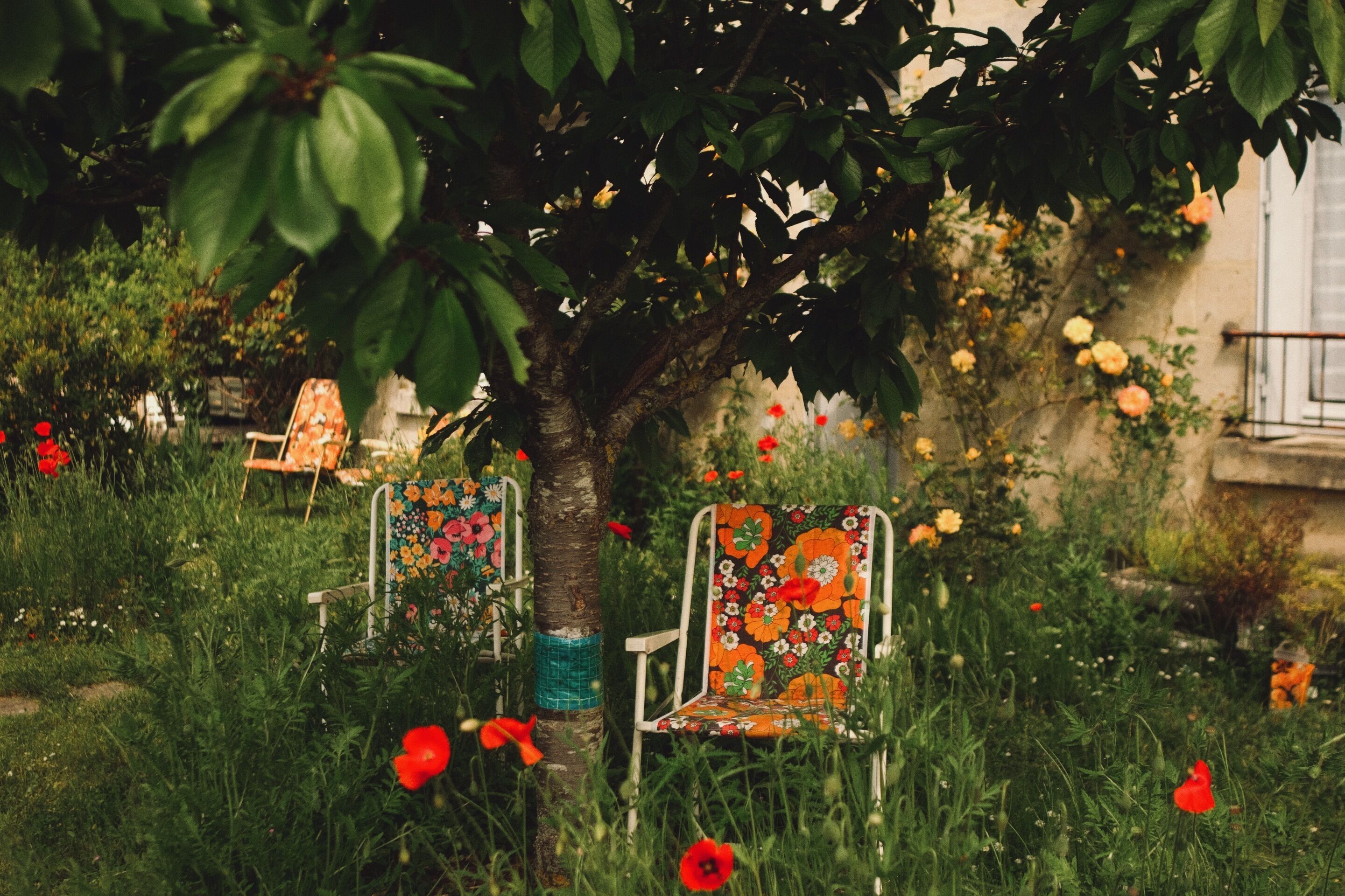A tree with chairs underneath, surrounded by greenery and flowers.