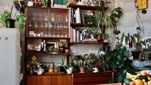 A kitchen with wooden shelves, potted plants, a fruit bowl, and a clock on the wall. - Chez Ric et Fer (Coucy-le-Chateau-Auffrique)