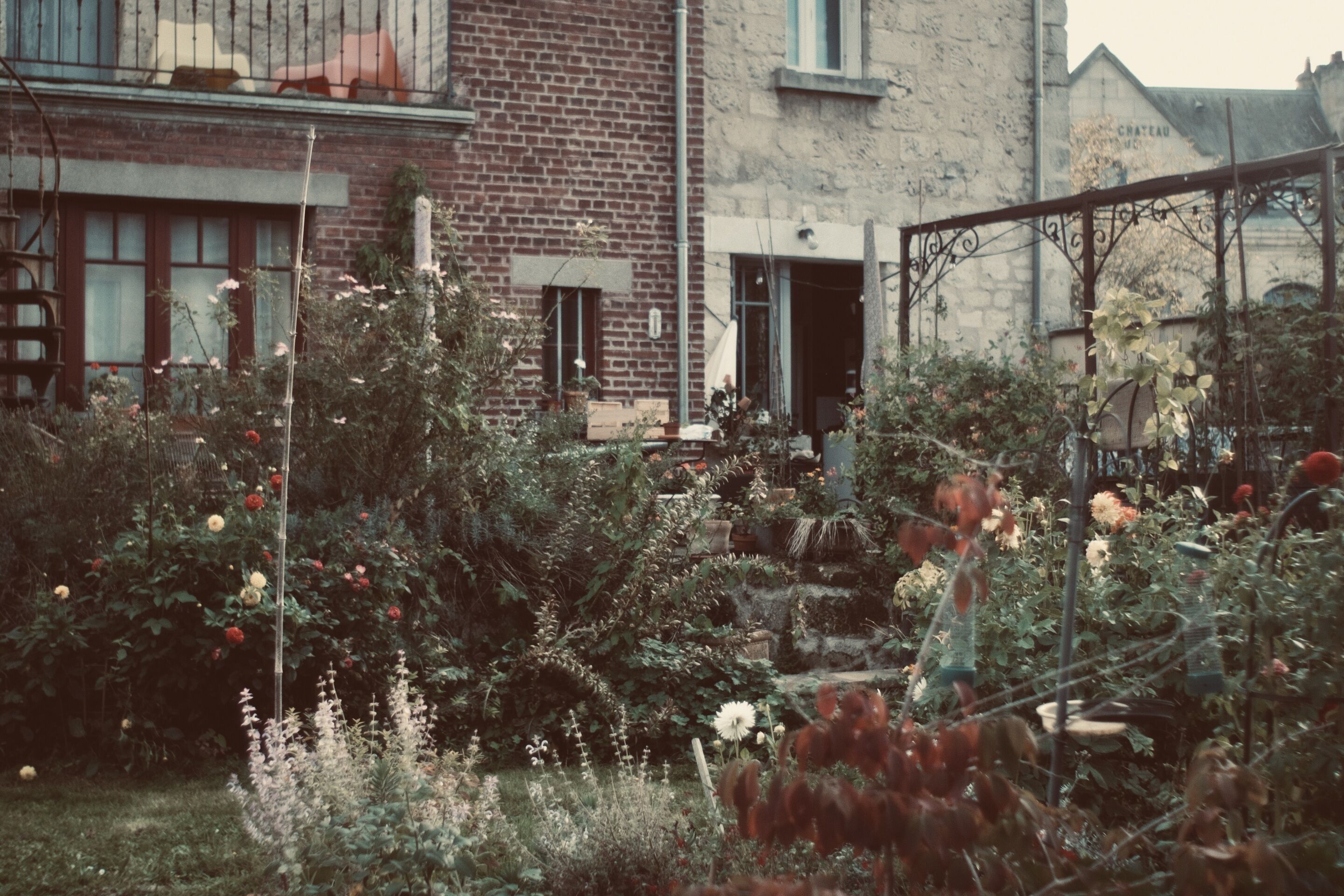 Un jardin avec différentes plantes et fleurs, un bâtiment en briques et un portail en métal.