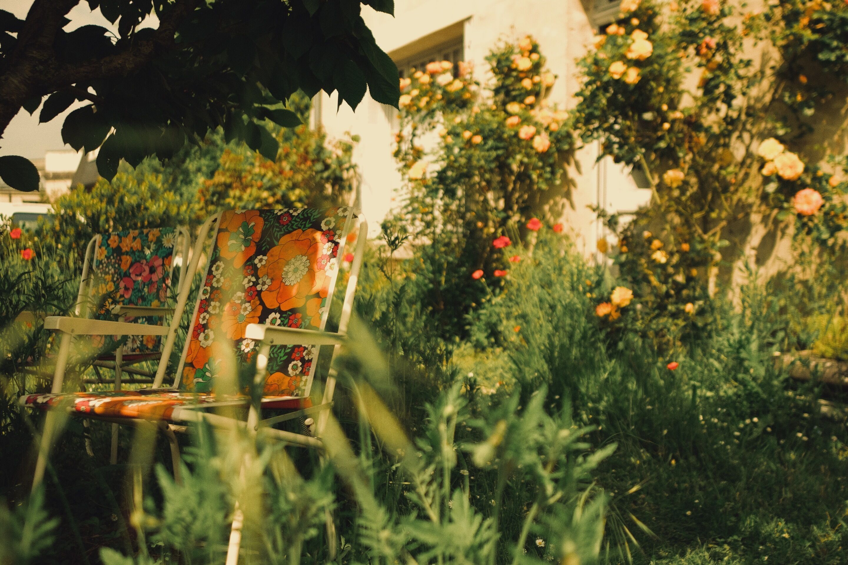 A garden with a chair and table, surrounded by greenery and flowers.