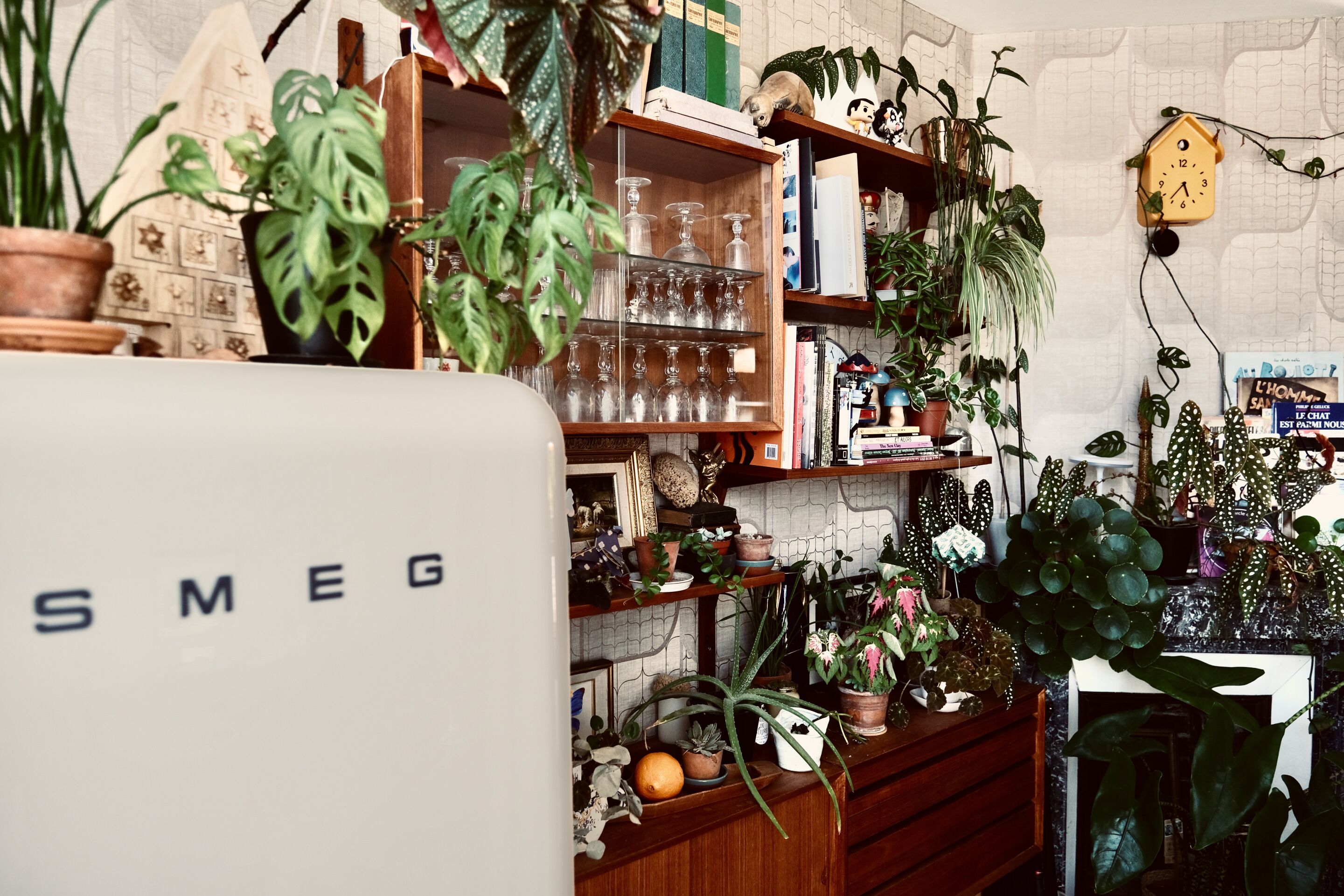 A room with a cluttered bookshelf, various potted plants, and a clock on the wall.