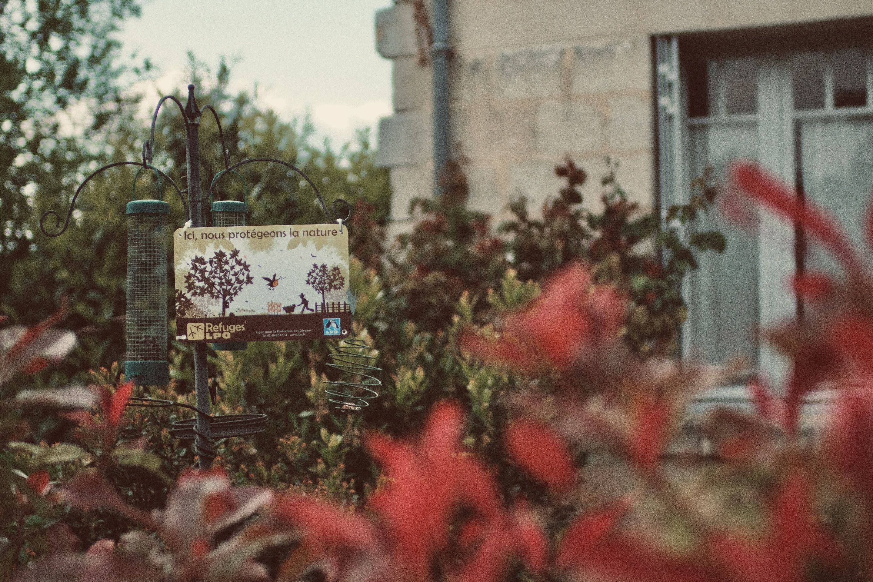 A bird feeder with a sign in a garden setting.