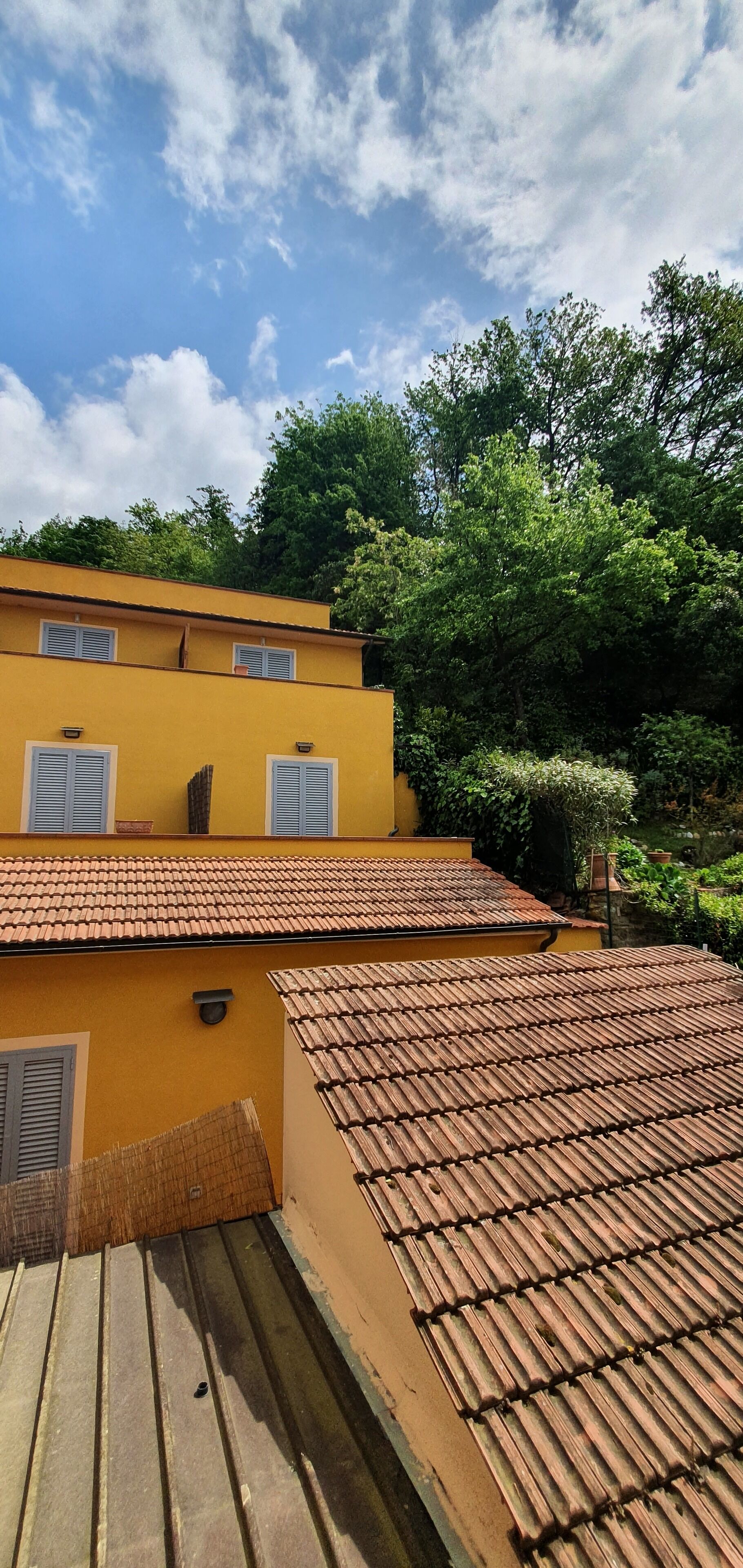 Basic Double or Twin Room | View from room