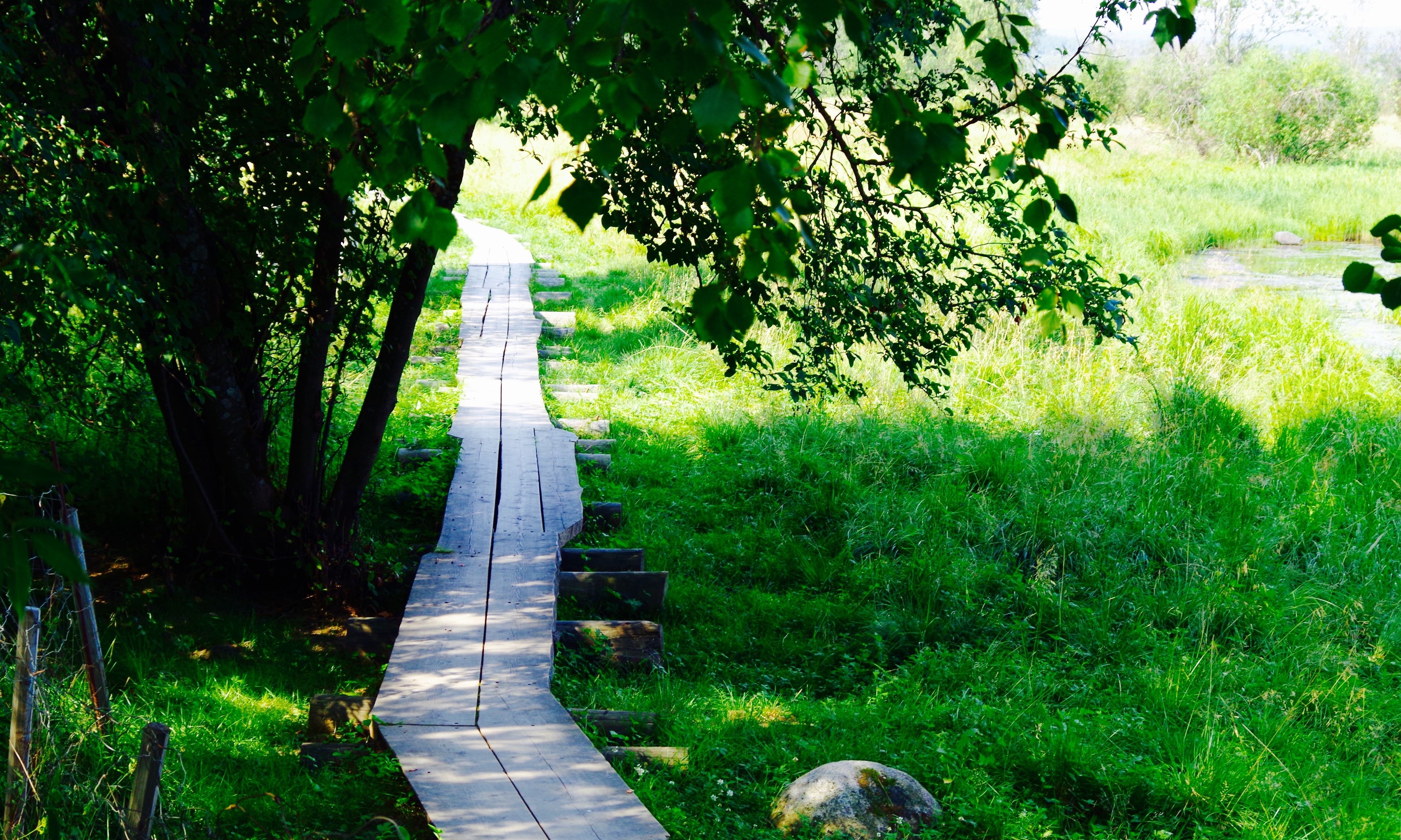 Photo - GuestHouse Arctic Heart