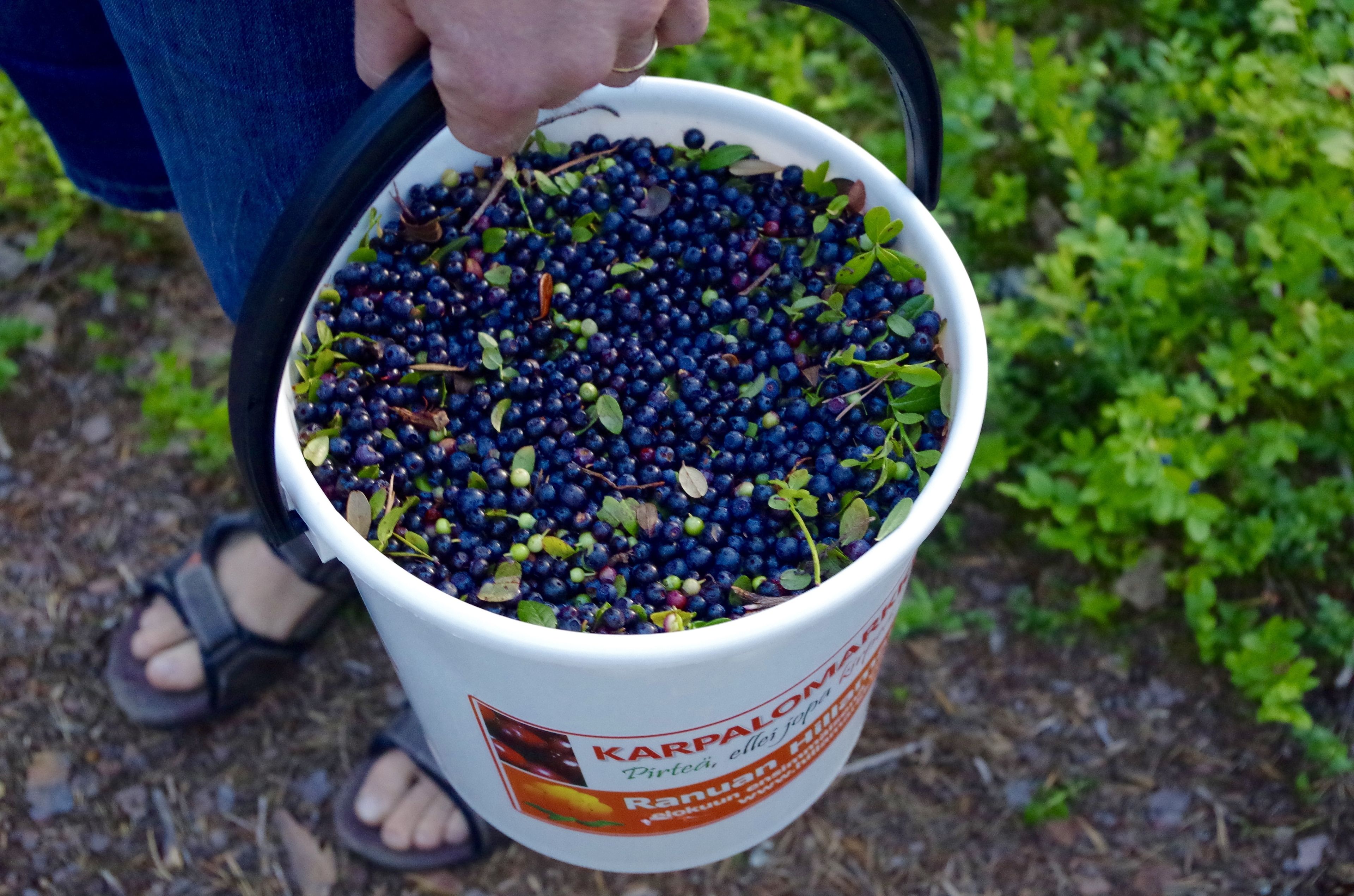 Photo - GuestHouse Arctic Heart