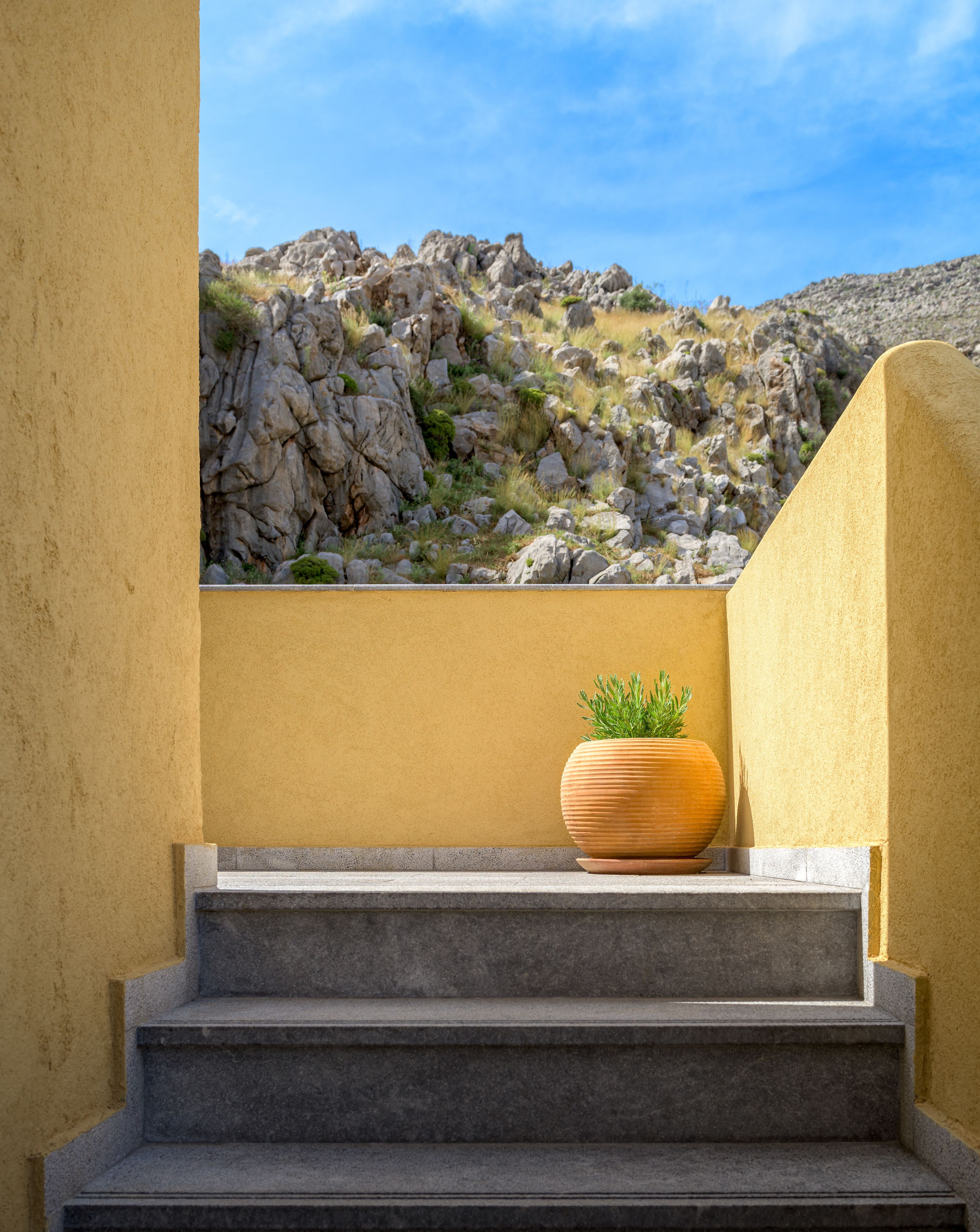 A set of stone steps leading to a yellow wall with a large potted plant.