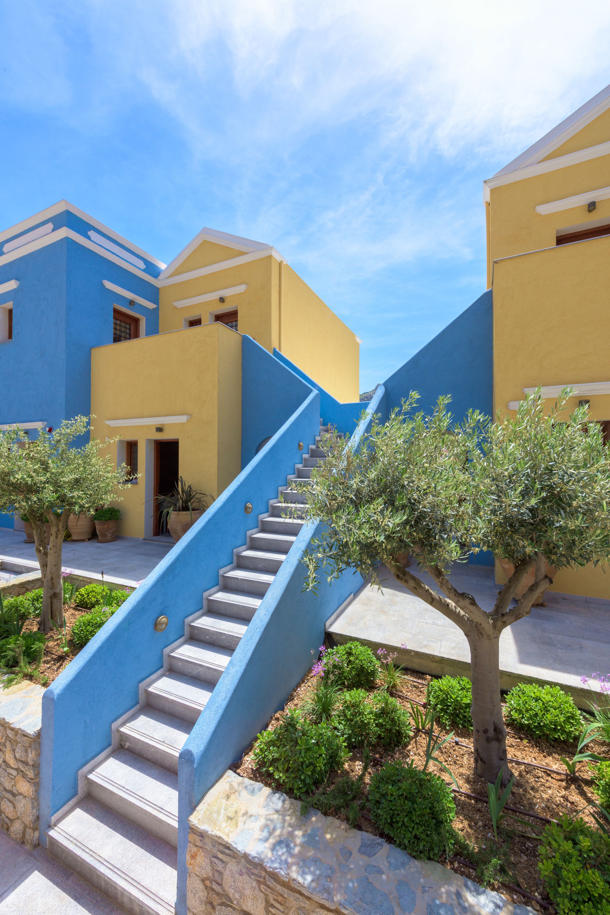 A set of stairs leading to a building with a blue and yellow facade, surrounded by greenery and potted plants.