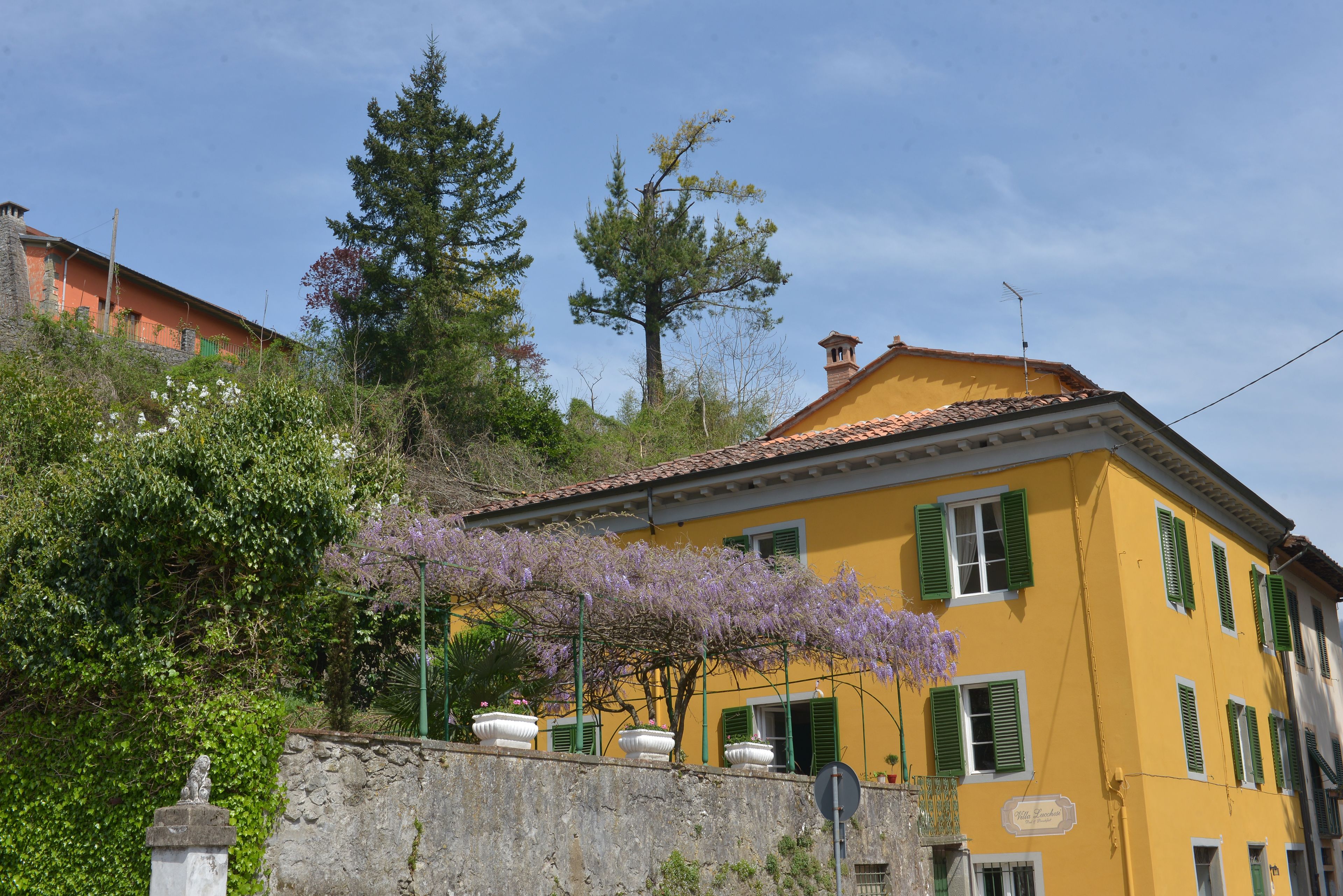 Foto - Villa Lucchesi