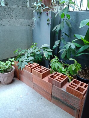 Standard Single Room, 1 Queen Bed, Ground Floor | Terrace/patio