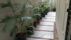 A narrow pathway lined with potted plants and a concrete floor.