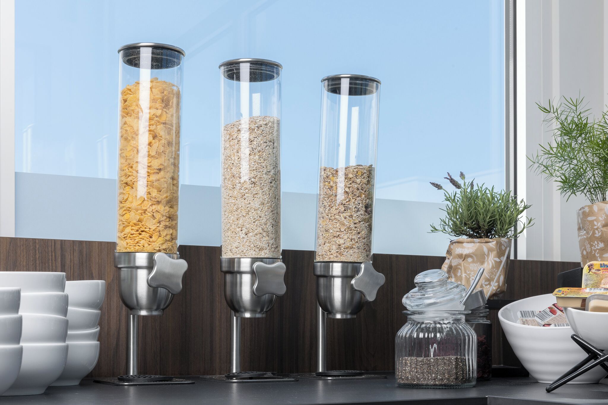 Three cylindrical dispensers filled with different grains, a white bowl, a jar, and a potted plant on a counter.