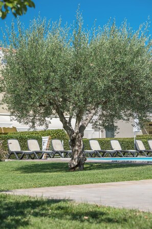 A tree-lined outdoor area with a poolside seating arrangement. - Apartments Maj Residence Premium (Porec)