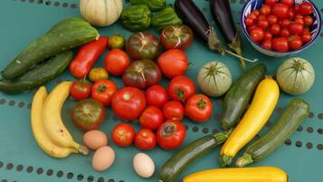 Diversitat de fruites i verdures fresques, com ara tomàquets, pepinos, albergínies i plàtans, disposades sobre una superfície blava amb dibuixos de punts.
