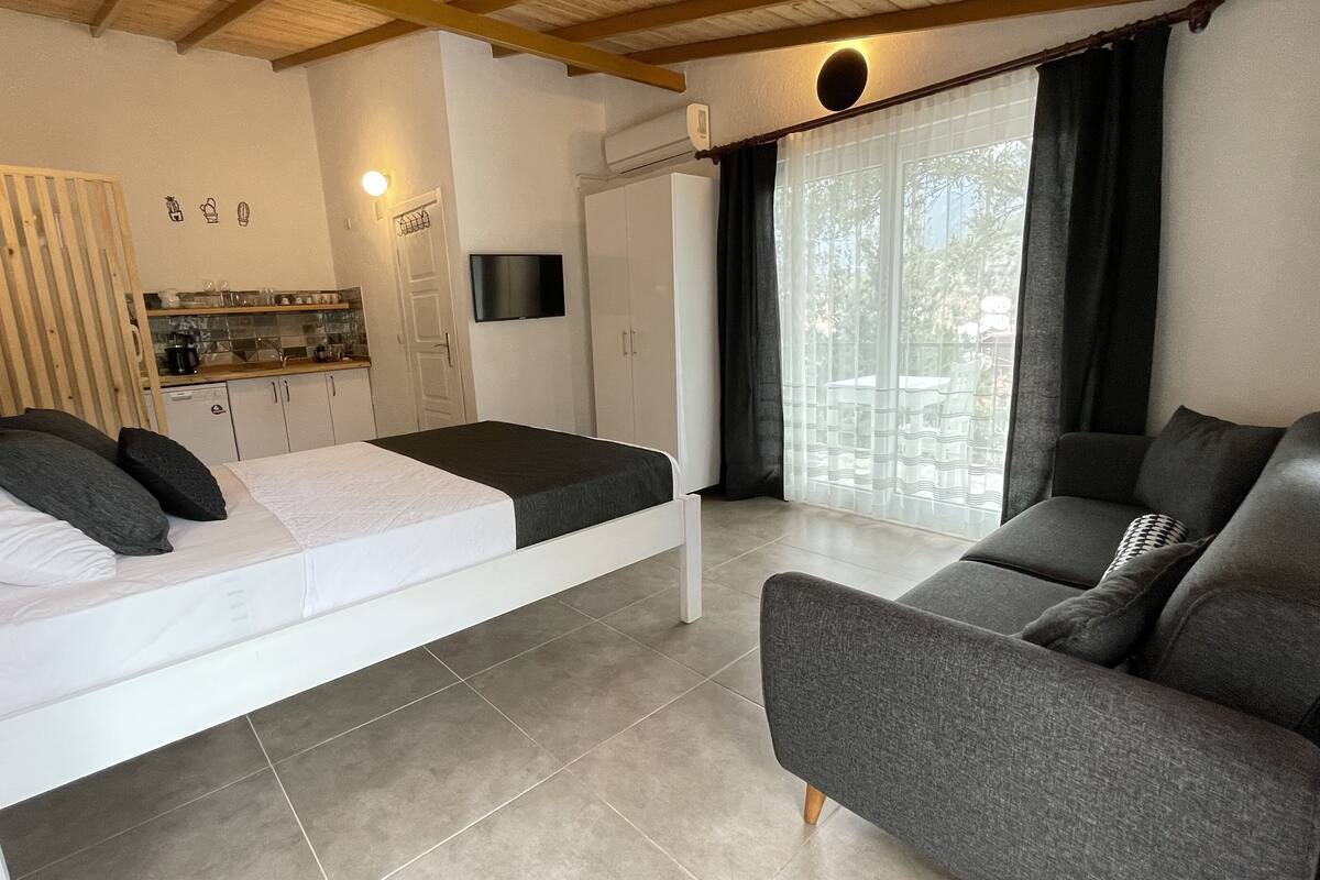 A modern room with a bed, a sofa, a kitchen area, and a TV.