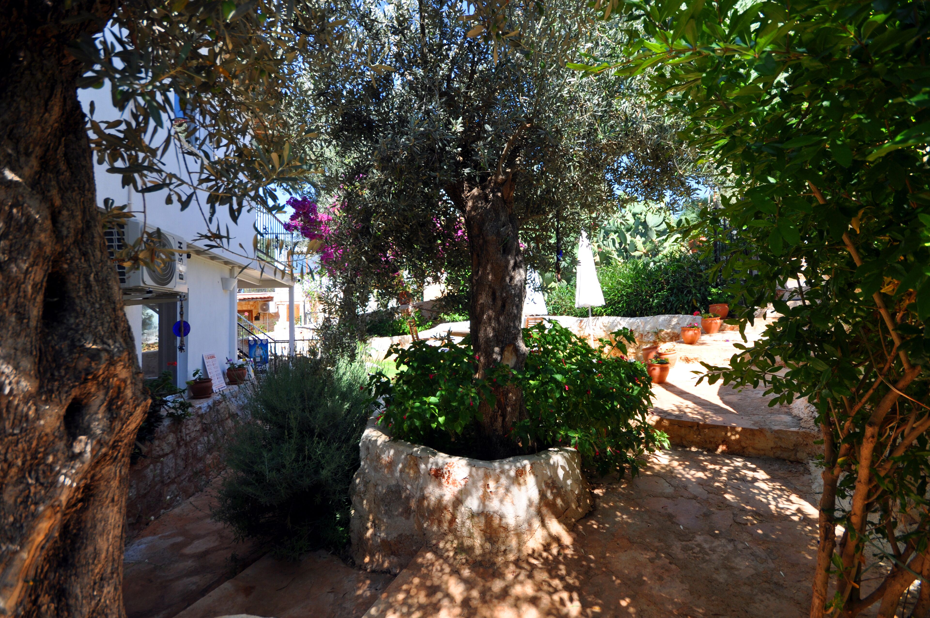 A tree in a planter surrounded by a stone wall, with a building in the background.