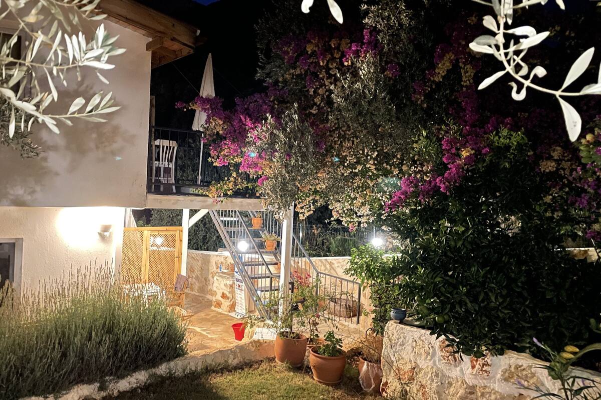 A courtyard with a staircase leading to a second floor, surrounded by potted plants and flowering bushes.