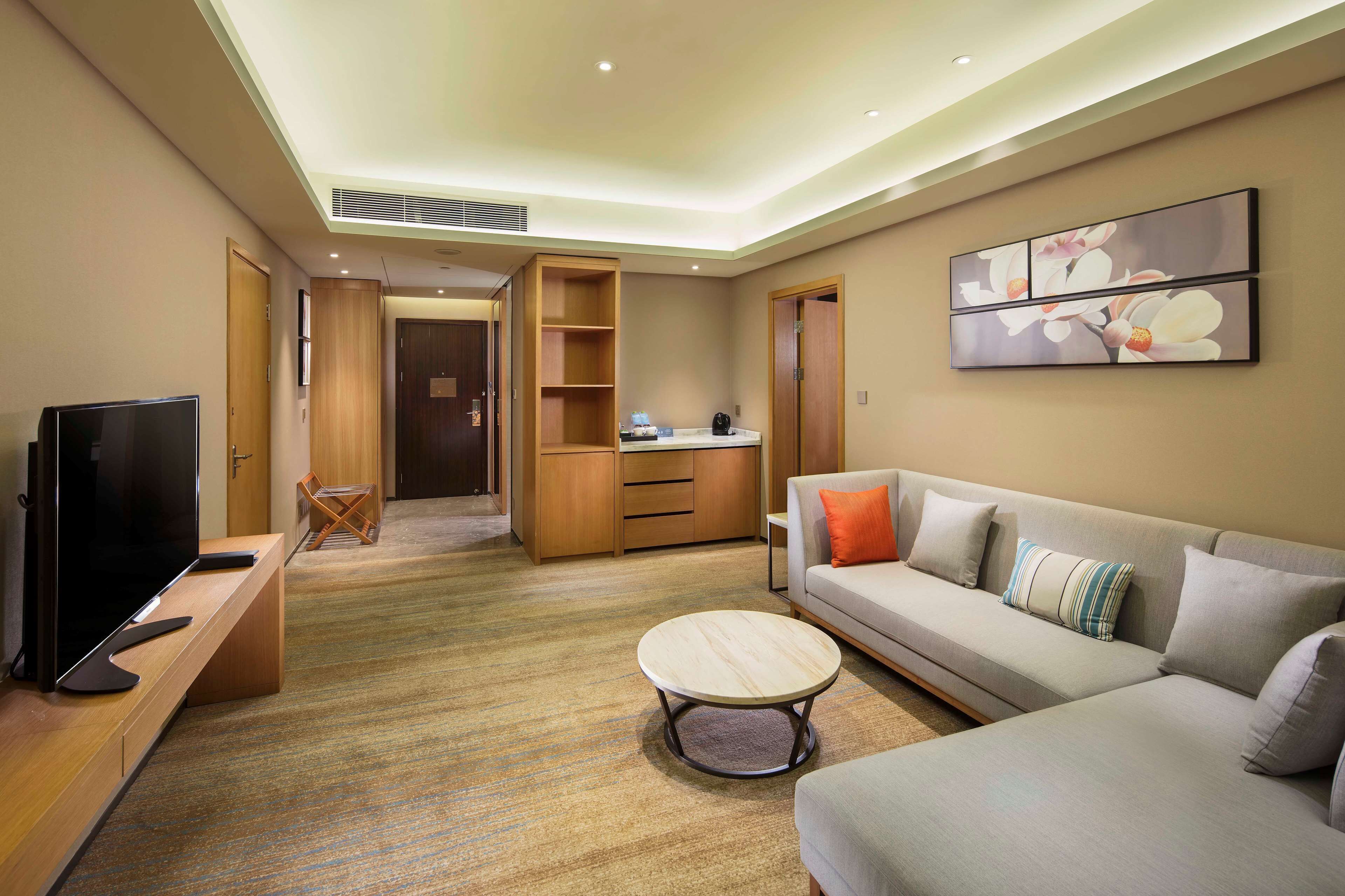 Une chambre d’hôtel moderne équipée d’un téléviseur à écran plat, d’un canapé avec des coussins, d’une table basse, d’une armoire en bois et d’un tableau au mur.