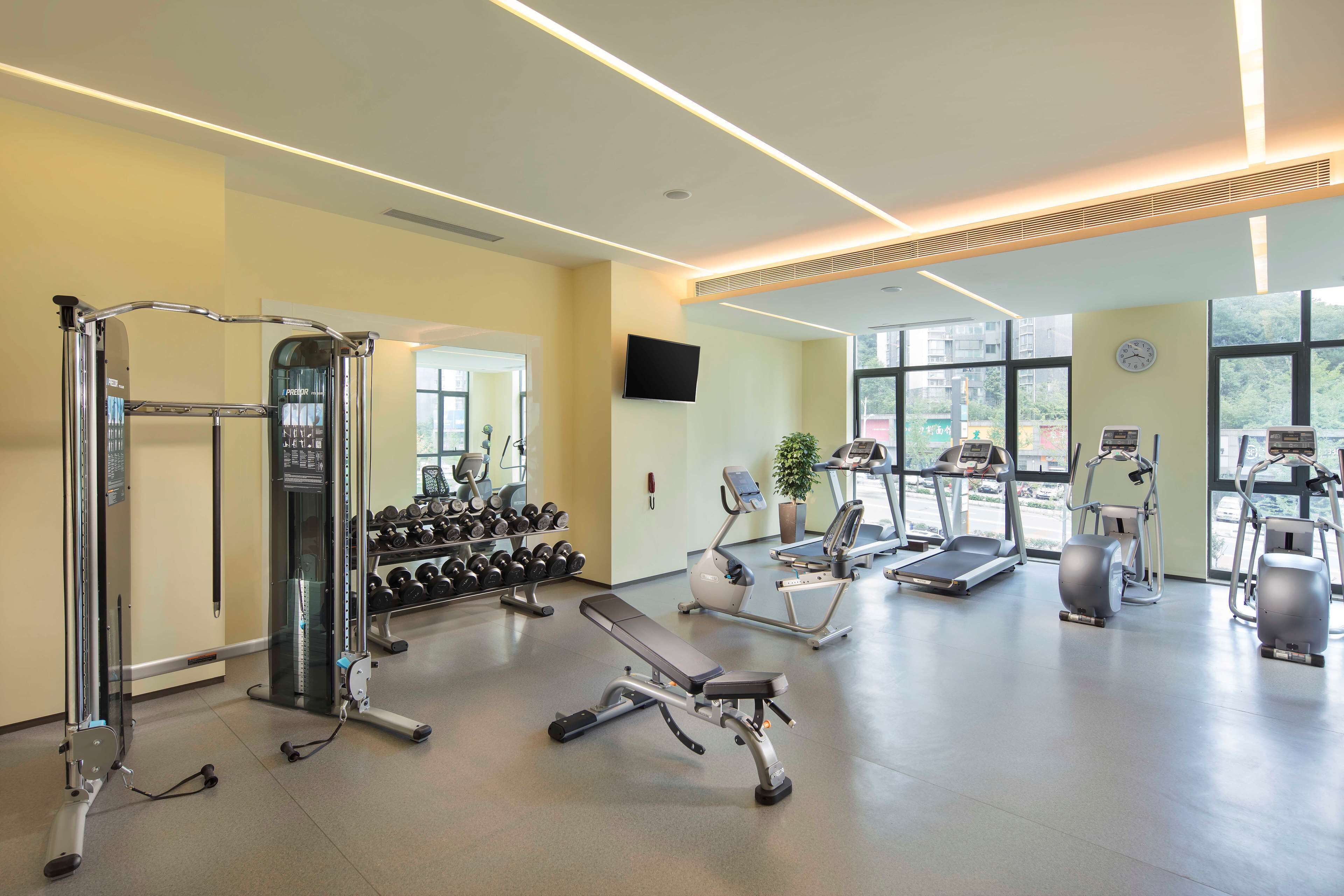 Un gimnasio moderno con diversos equipos de ejercicio, incluyendo cintas de correr, elípticas y pesas libres.