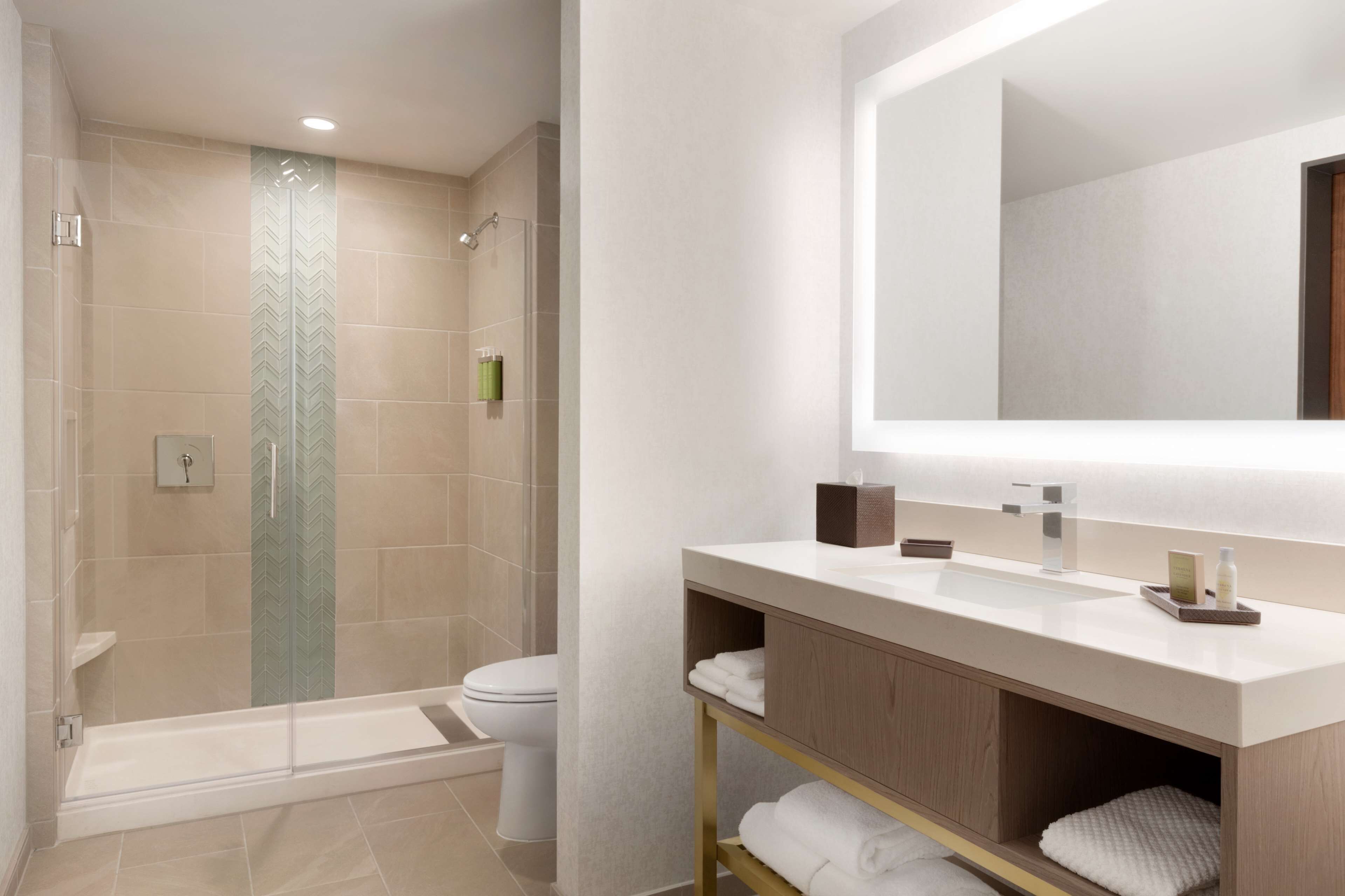 A modern bathroom with a glass shower enclosure, a toilet, and a vanity with a mirror.