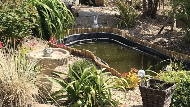 A garden with a pond, wooden deck, and various plants. - Gwynarth B&B (Wadebridge)